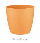 brussels-mini-sunrise-orange8